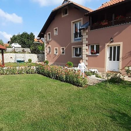 Apartmani Aleksijevic زلاتيبور المظهر الخارجي الصورة
