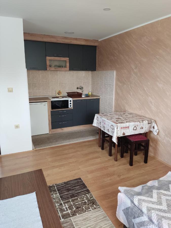 Apartmani Aleksijevic زلاتيبور المظهر الخارجي الصورة