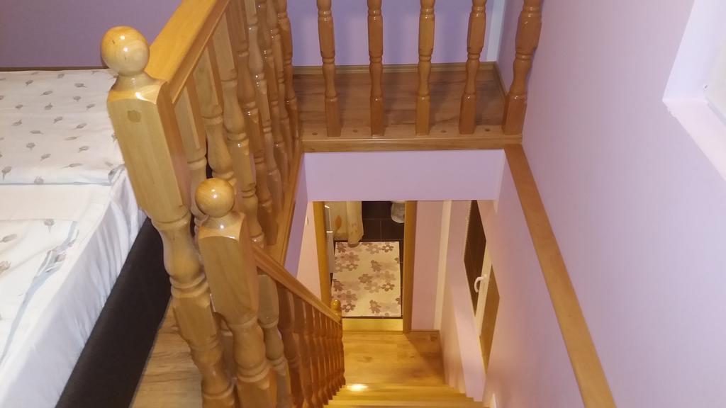 Apartmani Aleksijevic زلاتيبور المظهر الخارجي الصورة
