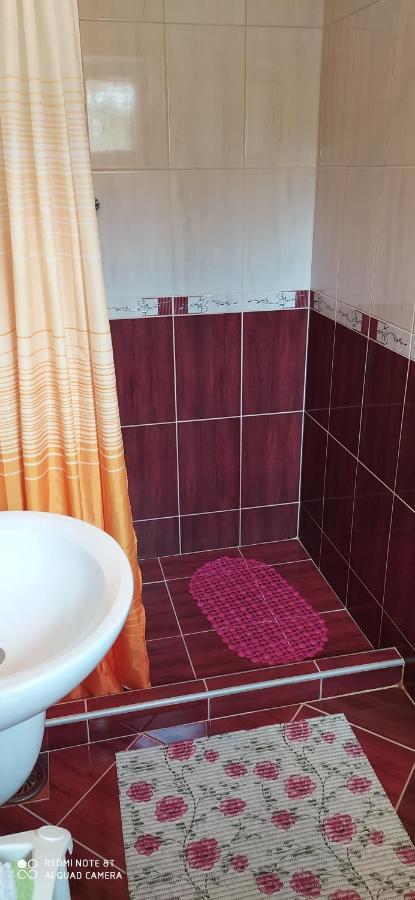 Apartmani Aleksijevic زلاتيبور المظهر الخارجي الصورة