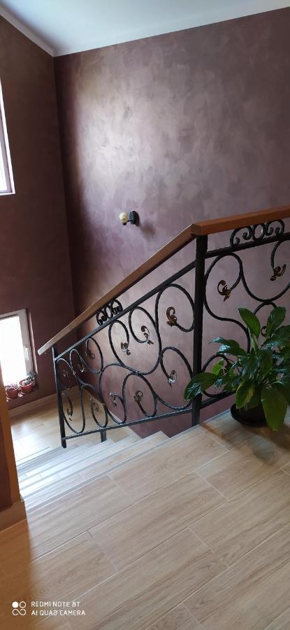 Apartmani Aleksijevic زلاتيبور المظهر الخارجي الصورة