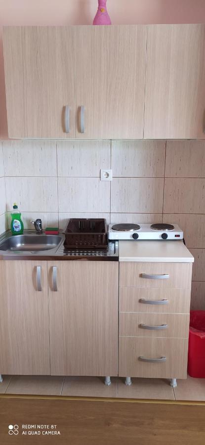Apartmani Aleksijevic زلاتيبور المظهر الخارجي الصورة