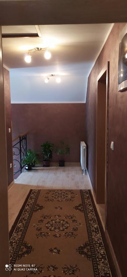 Apartmani Aleksijevic زلاتيبور المظهر الخارجي الصورة