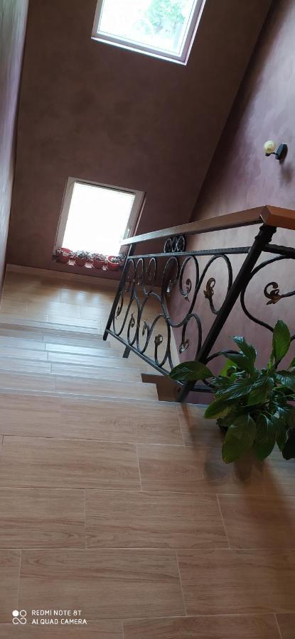 Apartmani Aleksijevic زلاتيبور المظهر الخارجي الصورة