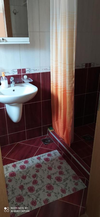 Apartmani Aleksijevic زلاتيبور المظهر الخارجي الصورة