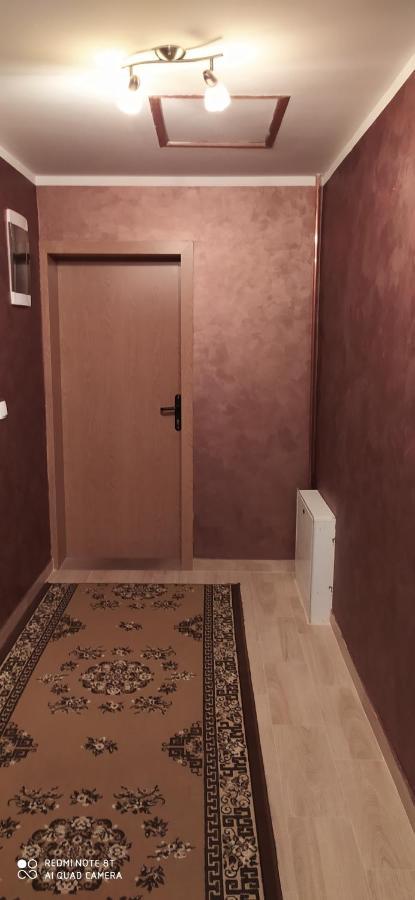 Apartmani Aleksijevic زلاتيبور المظهر الخارجي الصورة